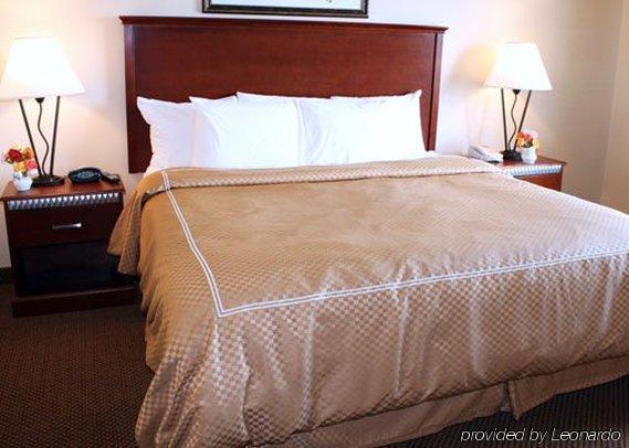 Comfort Suites Wixom Pokój zdjęcie